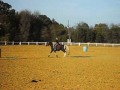 Brianna and Kalipso doing BARRELS!!!