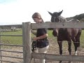 it's cheeko time! a video of me and cheeko