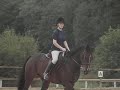 it's cheeko time! a video of me and cheeko