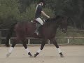 it's cheeko time! a video of me and cheeko