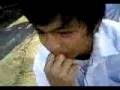 videos de aries 12