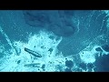 柿田川第2展望台から 水中の世界