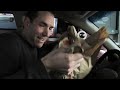 hidden camera - 100 Free Tacos Giveaway!