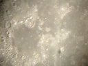 videos de The Moon - close up through telescope