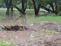 Winfield Walnut Valley Flood 2008