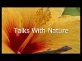 Talks With Nature Book Video Lahaina Art ...