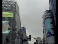 shibuya