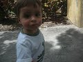 Caminando Caminando
