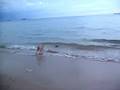 videos de Suan Son Beach, Rayong, Thailand