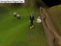 videos de Why You Should Do Range In Runescape