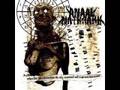 Anaal Nathrakh - When Fire Rains Down From The Sky