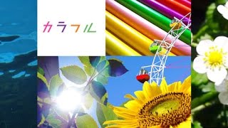 カラフル