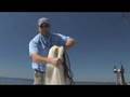 How To Throw a Black Pearl Cast Net CHEW ON THIS! Show