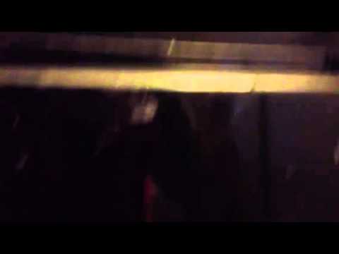 chicago car show chicago car show