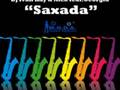 dj kay & nick feat georgia - saxada elektrotribe mix