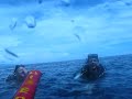 Bunaken Island (Indonesia 2008) part 2