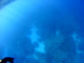 henri en action.mp4