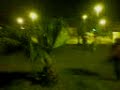 �rvore 2