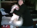 Doggy Hater