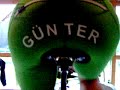 Die vier Musketiere in Hawaii !!