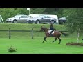 Quito du Vilpion