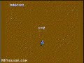 www.nesguide.com