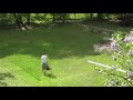 LawnGrower