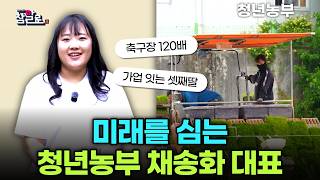 채송화