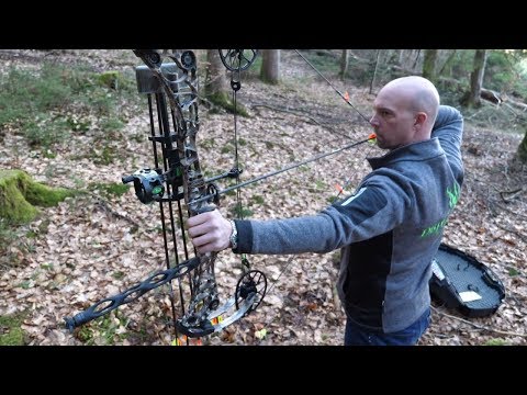 Stahnsdorf: High-Tech-Bögen sollen Wildschweinproblem ...