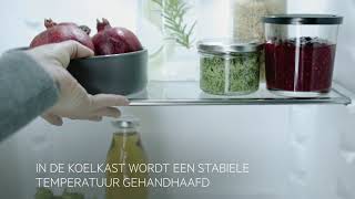 Klik om de video te bekijken