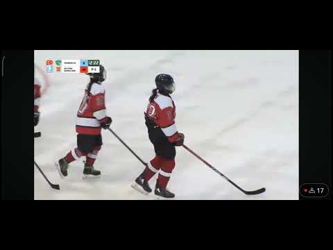 2023/2024 U18 Young Women's Turkish Championship.. 1 match, 5 goals, 4 assists..