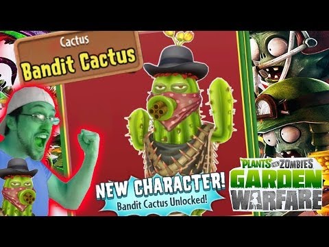 how to plant mini cactus