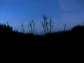 videos de Machame Camp @ Dawn: Kilimanjaro 2008