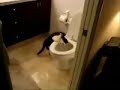 videos legais