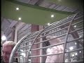 20 Tierhandlungen in Hamburg überprüft