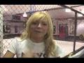 IMC/NUVO Pillow Fight training - www.imc.tv