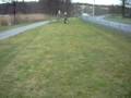 videos de Bild 947