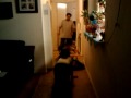 Bdog,,