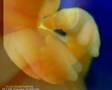 Psalm 139: Herr, du kennst mich