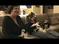 guitar-hero-coop-barracuda-on-medium.html