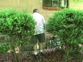 Tracking Bigfoot Tracking Bigfoot