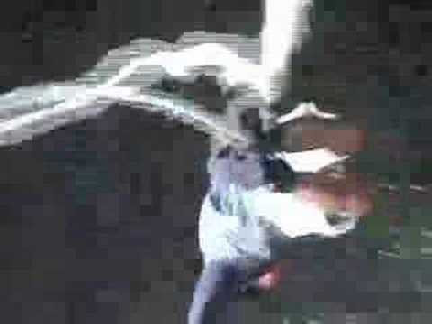 日本一のバンジージャンプ！