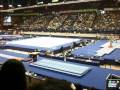 European championships AA vault 2009