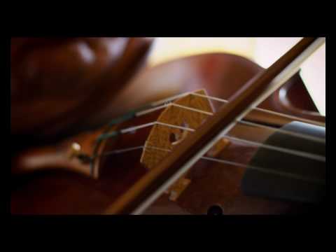 The Birth of a Violin