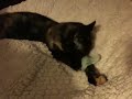 Mrs. Reynolds makes biscuits