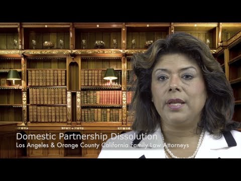 how to dissolve a domestic partnership in illinois