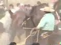 BULNES TRILLA A YEGUA SUELTA