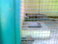 Coimbatore Zoo