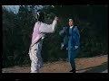 One armed swordswoman