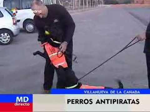 Imagen de previsualización de YouTube